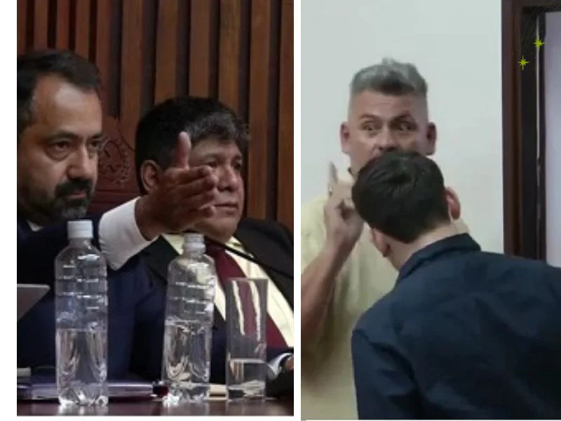 800 por 600 web (7)